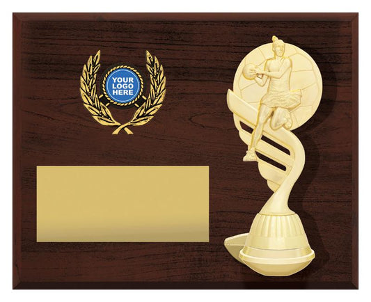 N4212 Netball Podium Plaque - Landscape 20cm