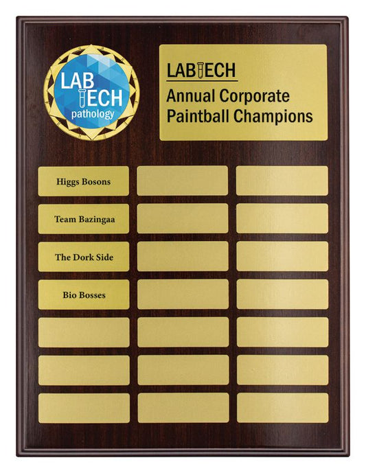 PEQ-09-03 Assembly Topline Logo Plaque 30cm