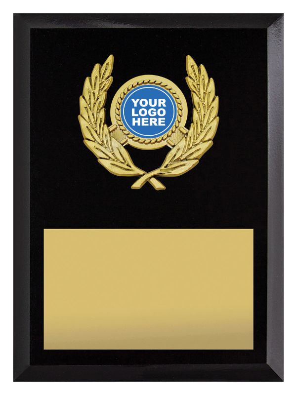 PL15B Focus Value Plaque 17.5cm