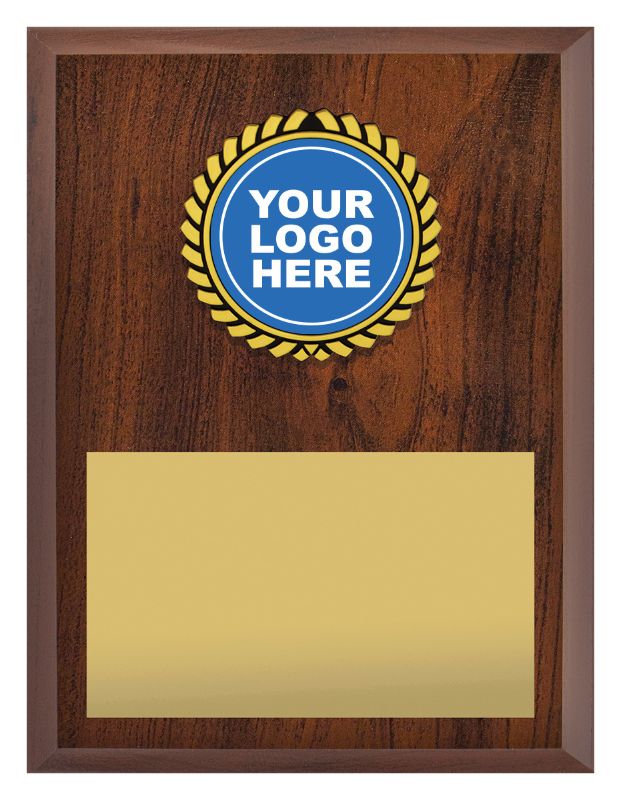 PL16C College Value Plaque 20cm