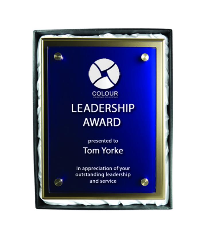 PSBU4 Plaque with Glass 22.5cm