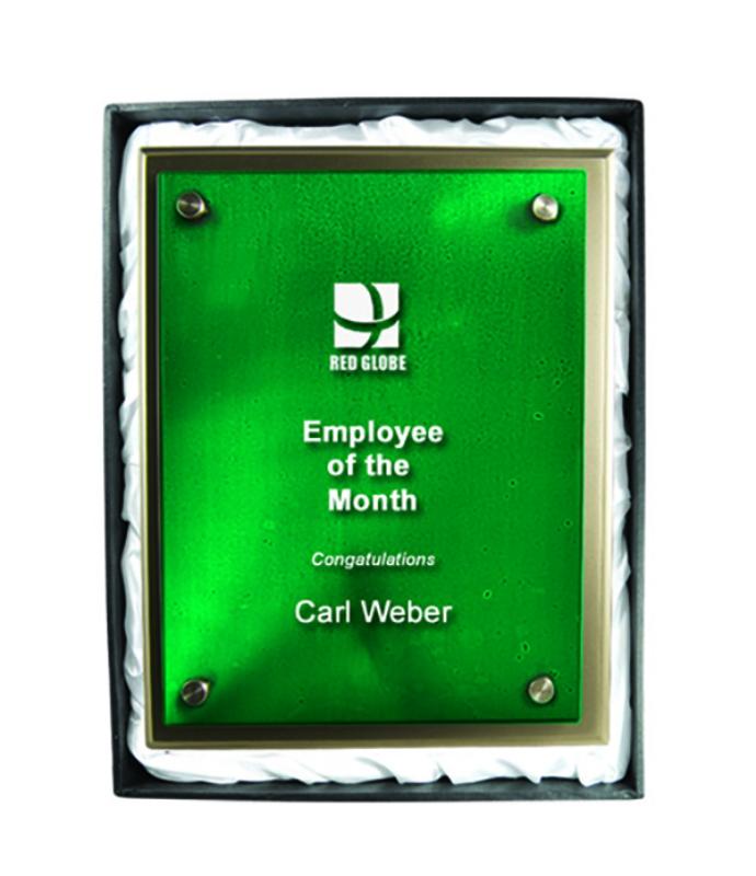 PSGN5 Plaque with Glass 25cm