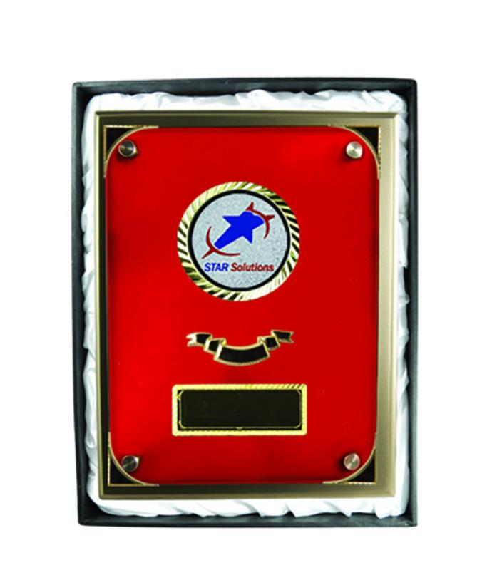 PSR6 Plaque with Glass 30cm