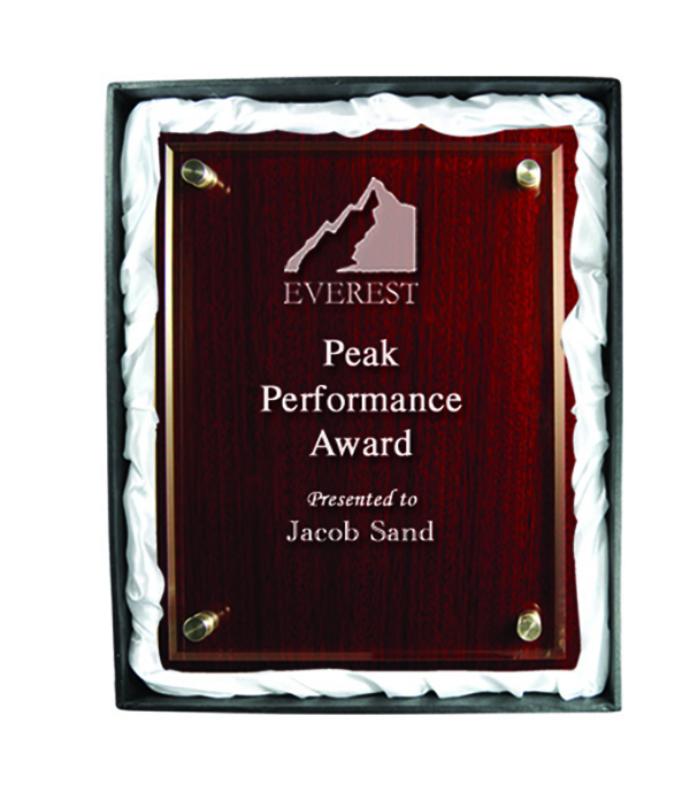 PWGA4 Plaque with Acrylic 22.5cm