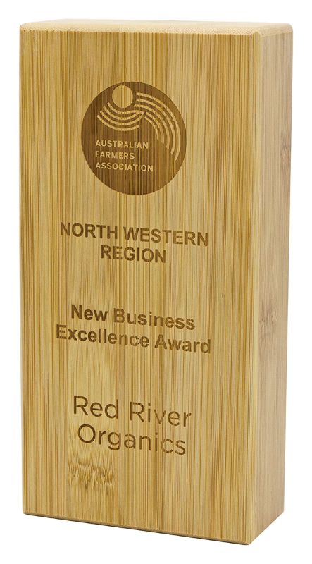 QW301C Prospect Award Large 20cm