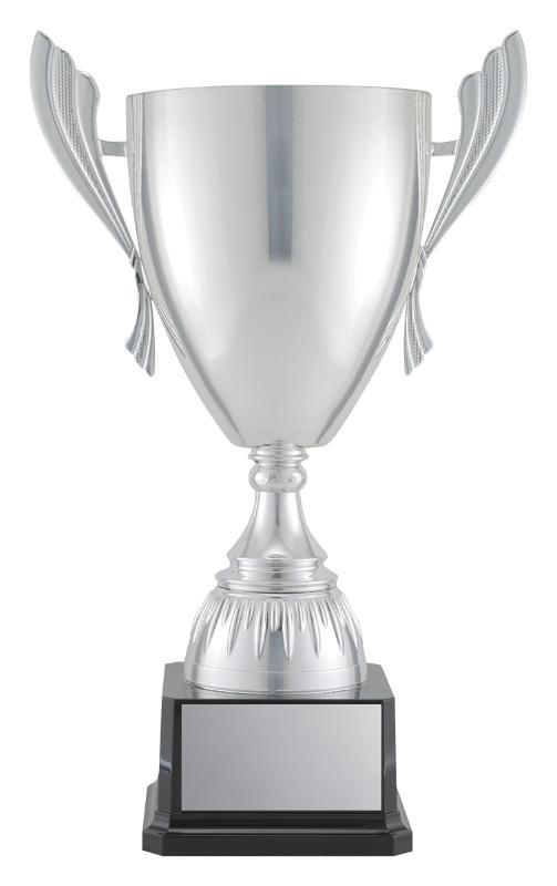 RL4196 Rugby Silver Ironside 45cm