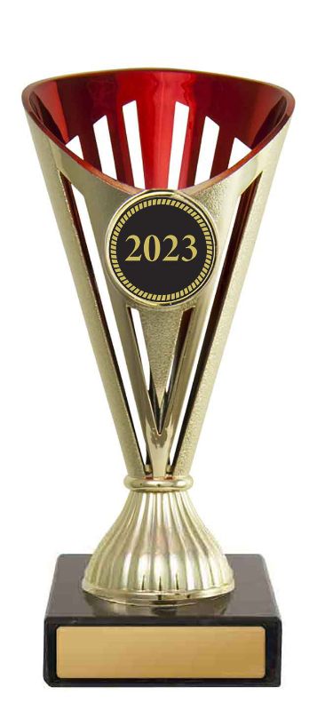 S23-0419 Fan Cup 17cm