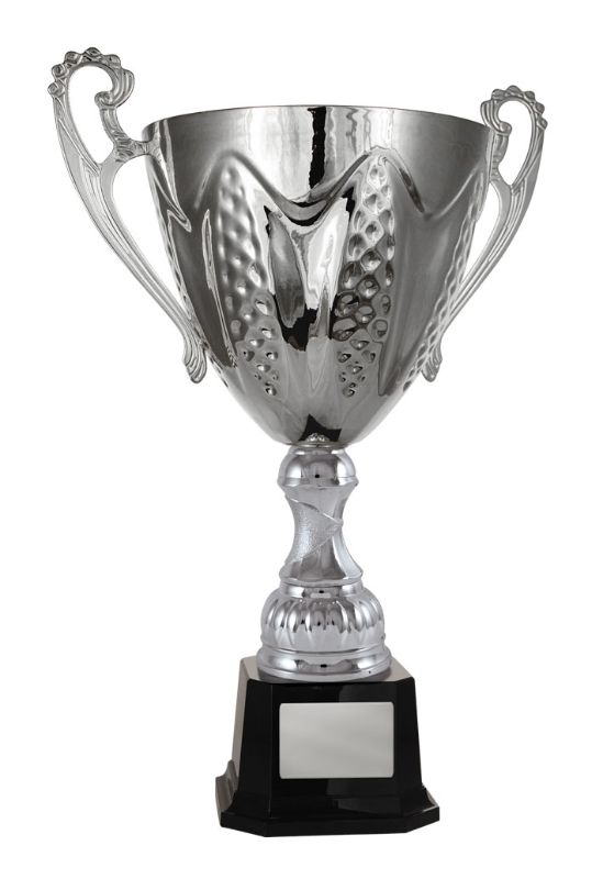 S23-0813 Bordeaux Cup 36cm