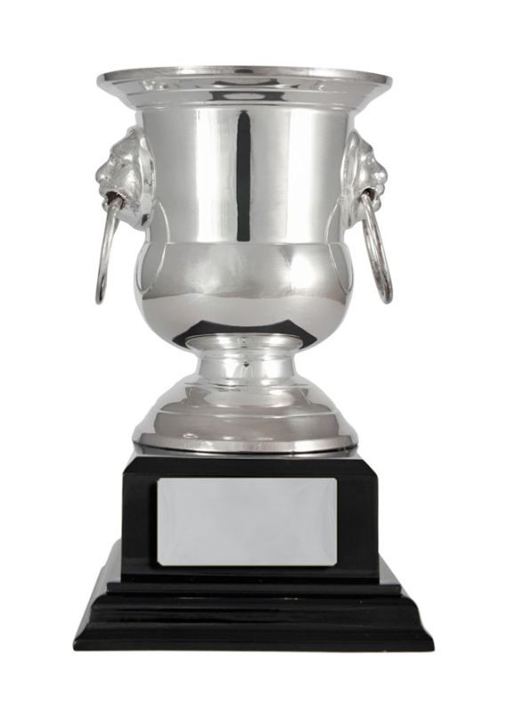 S23-1004 Silver Plated Cup 12.5cm