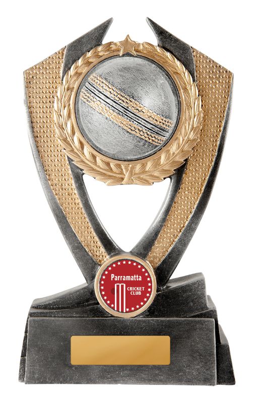 S23-1712 Hero Shield - Cricket 17.5cm