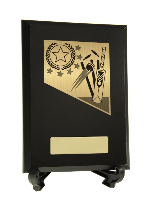 S23-1911 Plaque with Cricket Trim 17.5cm