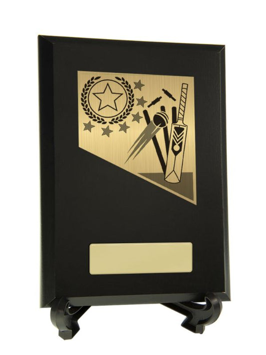S23-1911 Plaque with Cricket Trim 17.5cm