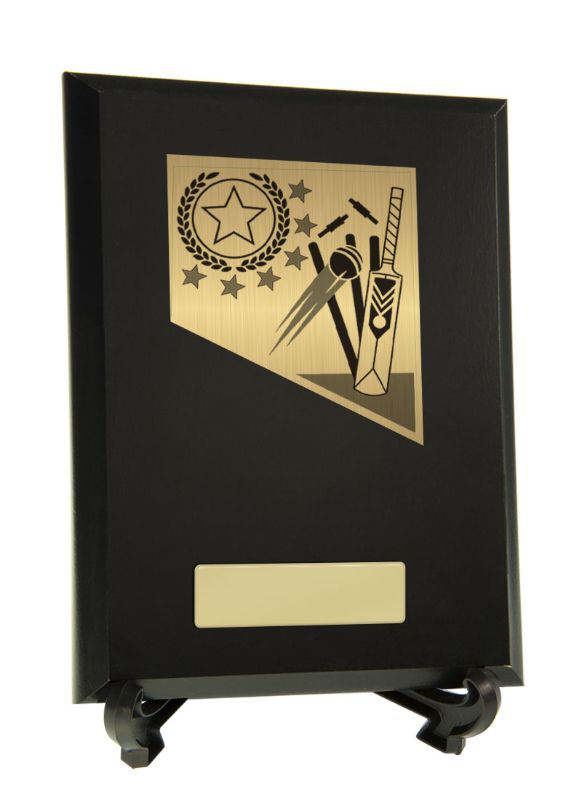 S23-1912 Plaque with Cricket Trim 20cm