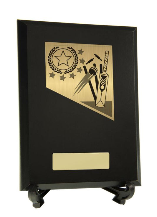 S23-1912 Plaque with Cricket Trim 20cm