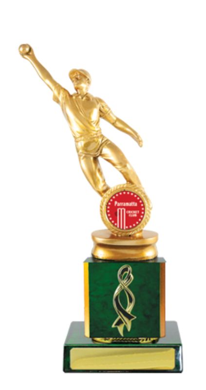S23-2208 Timber Buildup Cricket Male 24cm