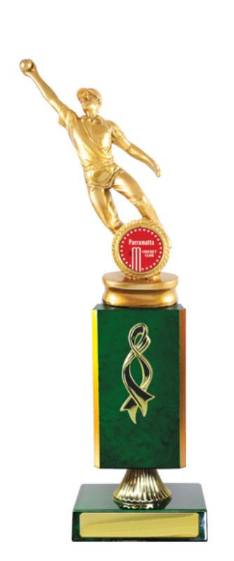 S23-2211 Timber Buildup Cricket Male 31cm