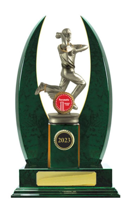 S23-2306 Timber Buildup Cricket Male 32cm