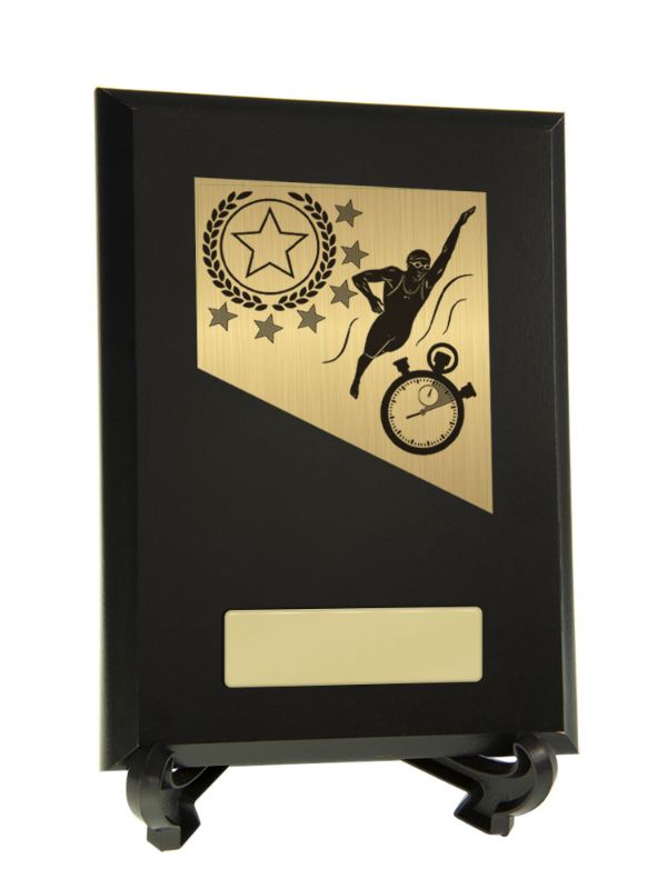 S23-3636 Plaque with Swimming Trim 17.5cm