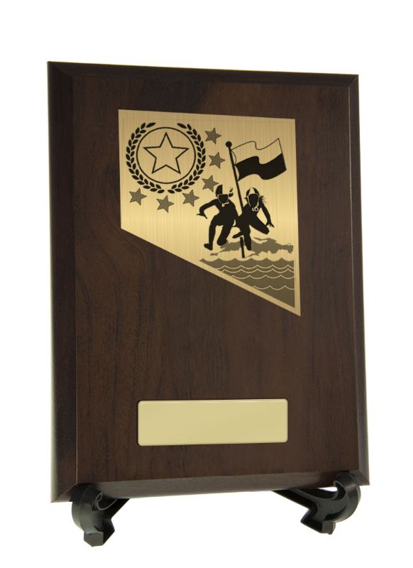 S23-6031 Plaque with Lifesaving Trim 20cm