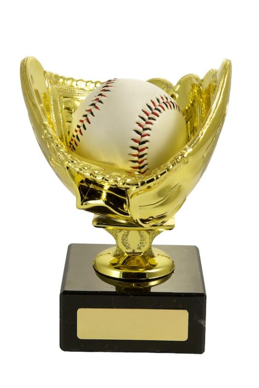 S24-11201 Baseball Glove 17cm
