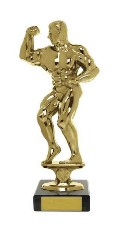 S24-11801 Bodybuilder Male Figure on Base 15cm