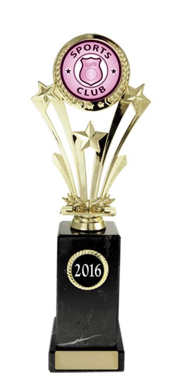 S24-14214 Star on Column 26.5cm