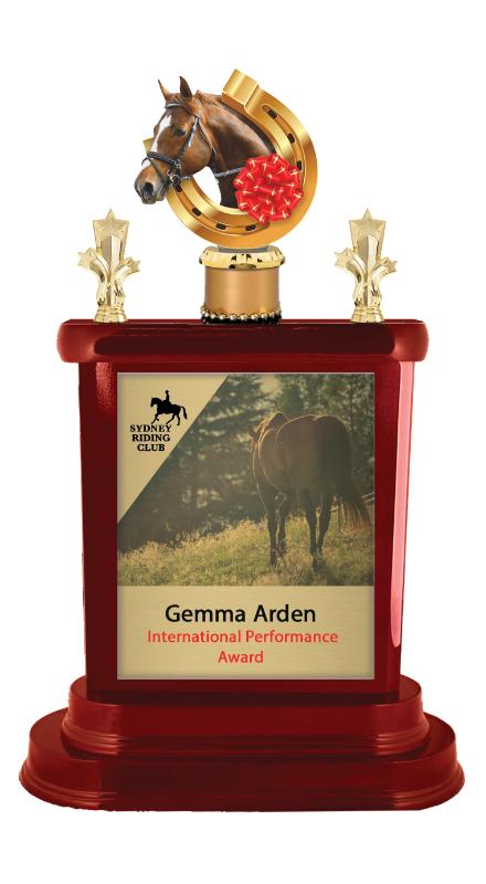 S24-14805 Horse Timber Buildup 43cm