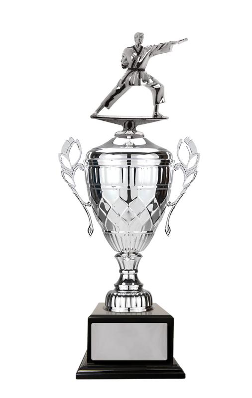 S24-15501 Whopper Cup-Martial Arts 57cm