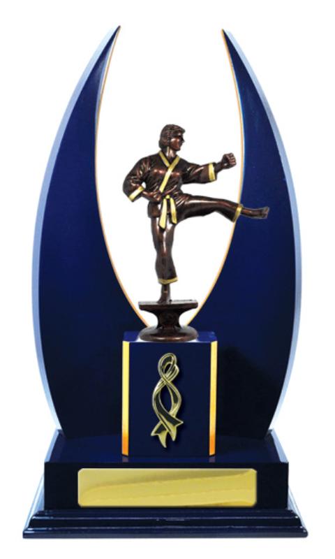 S24-15512RB Timber Buildup Martial Arts 32cm