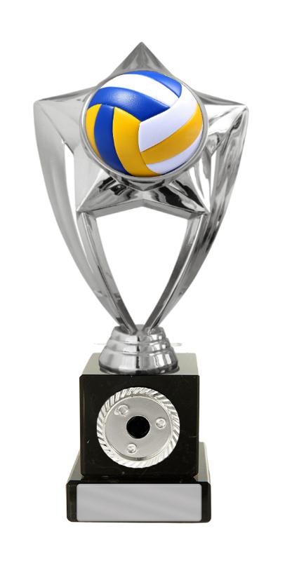 S24-20309 Plastic Volleyball Theme on Base 17cm