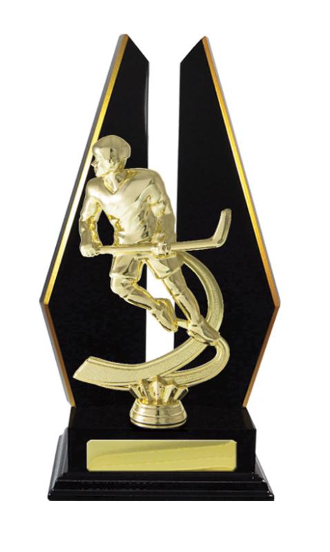 S24-7304DK Timber Buildup Ice Hockey 30.5cm