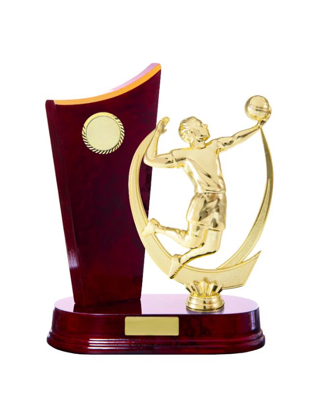 S24-7405CH Timber Buildup Volleyball 23cm