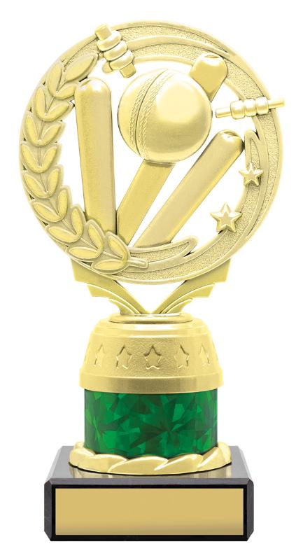 S4030 Gold / Green Cricket Torch Series 165mm