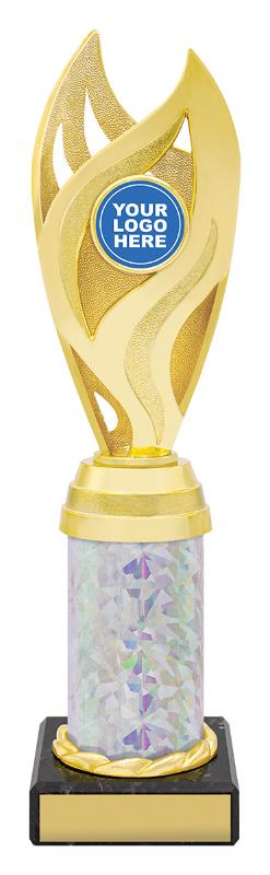 S4261 Vision Cup Gold / Silver 250mm