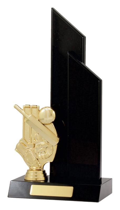 S4404 Cricket Black Double Wing 300mm