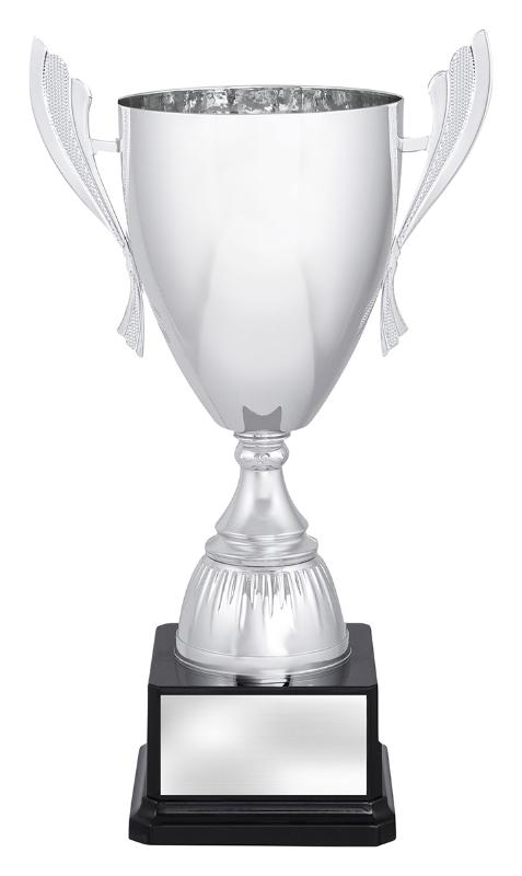 S4477 Ironside Silver Cup 280mm