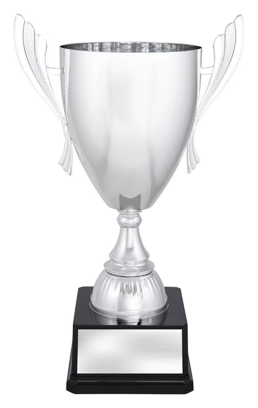 S4478 Ironside Silver Cup 325mm