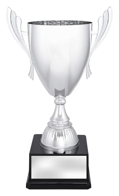 S4479 Ironside Silver Cup 370mm