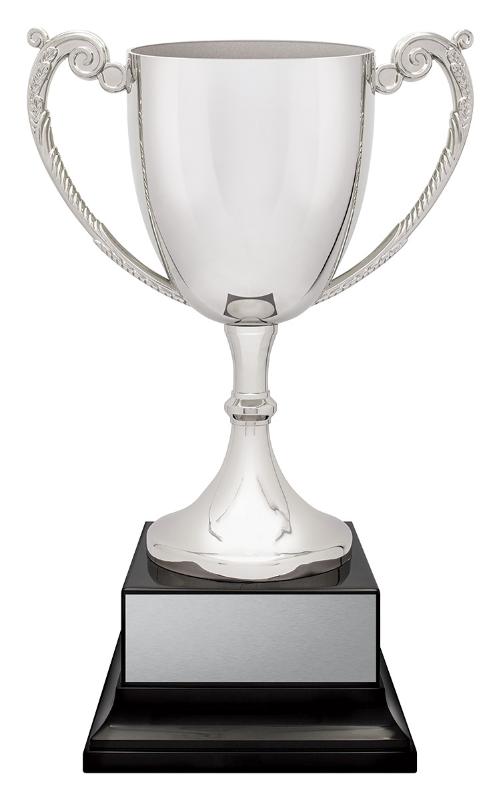SCV16 Provenance Cup 42cm