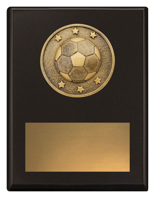 SP604B Challenge Plaque Football 17.5cm