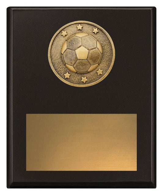 SP604C Challenge Plaque Football 20cm