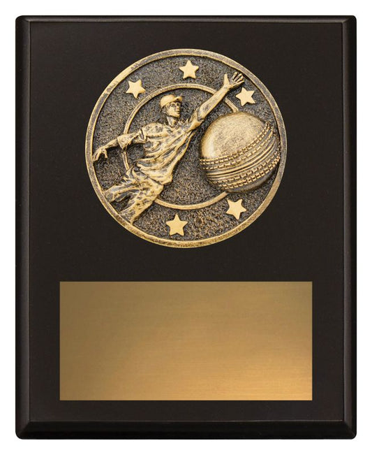 SP610A Challenge Plaque Fielding 150mm