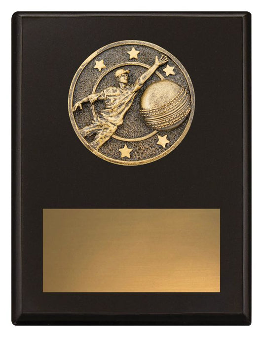 SP610B Challenge Plaque Fielding 175mm