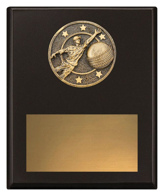 SP610C Challenge Plaque Fielding 200mm