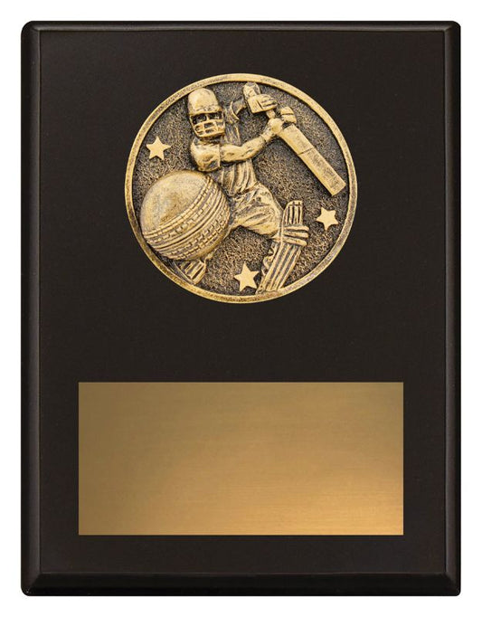 SP614B Challenge Plaque Batting 175mm