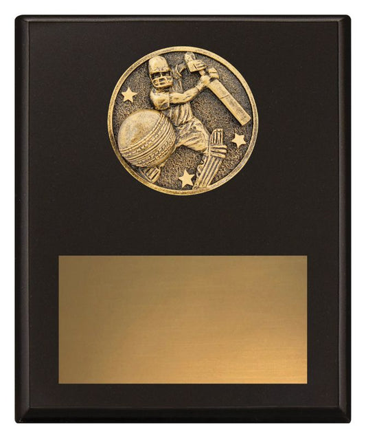 SP614C Challenge Plaque Batting 200mm