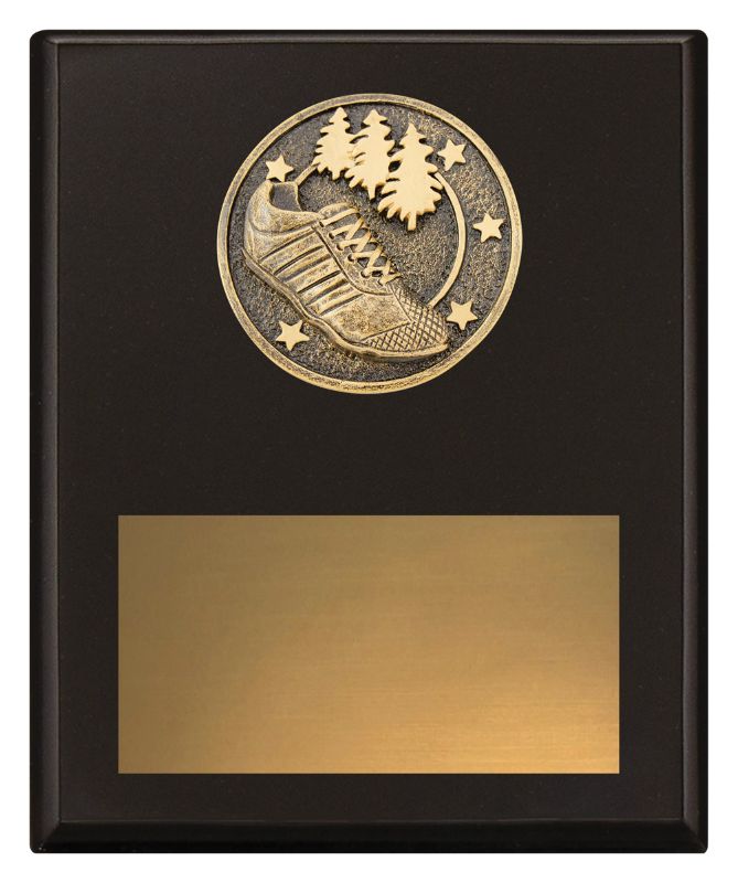 SP625C Challenge Plaque Cross Country 200mm