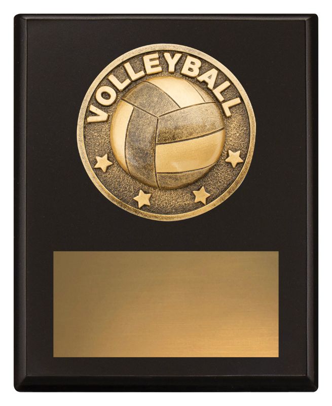 SP627A Challenge Plaque Volleyball 15cm