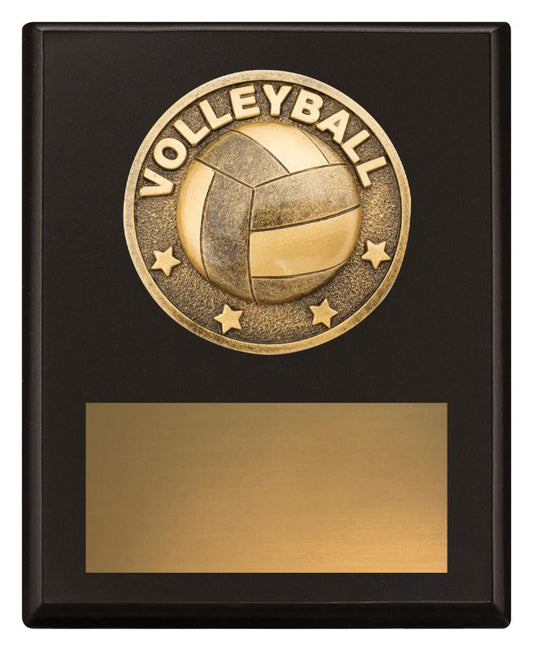 SP627A Challenge Plaque Volleyball 15cm