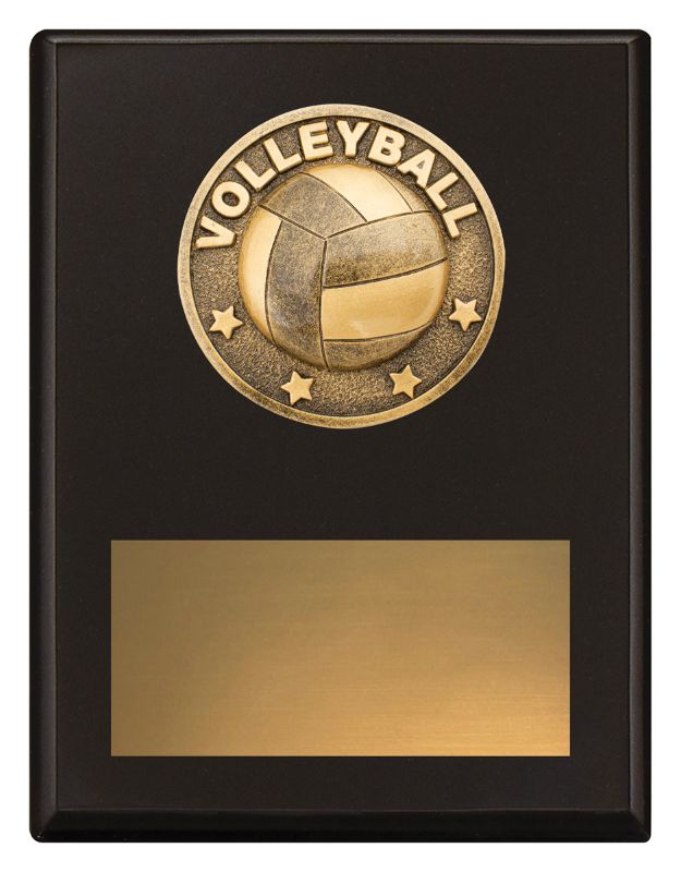 SP627B Challenge Plaque Volleyball 17.5cm